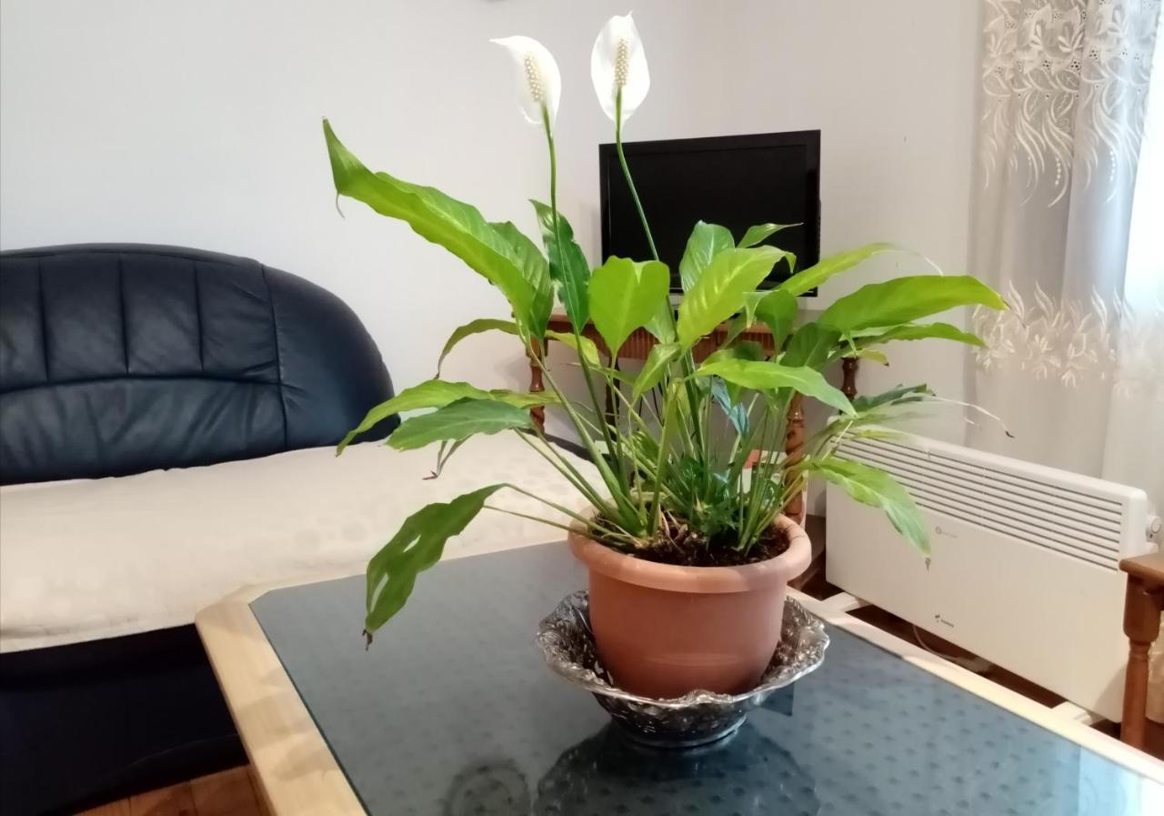 אוהריד Mateski Guest House מראה חיצוני תמונה