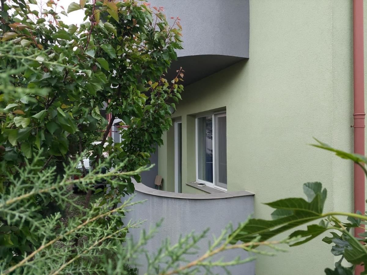אוהריד Mateski Guest House מראה חיצוני תמונה