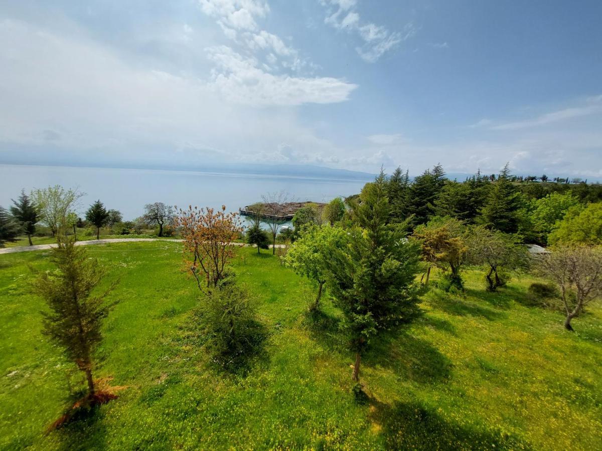 אוהריד Mateski Guest House מראה חיצוני תמונה