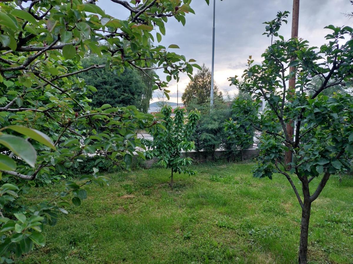 אוהריד Mateski Guest House מראה חיצוני תמונה